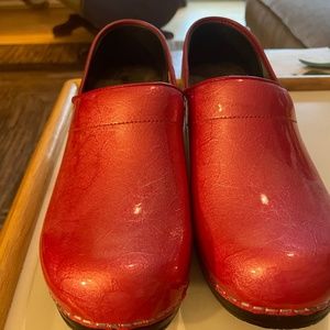 Sanitas Restaurant shoes